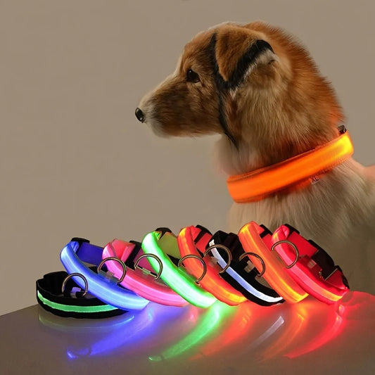 Nylon LED for pets